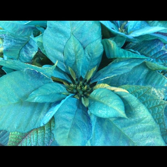 Accepting ALL reasonable offers - Picture 2 of 4